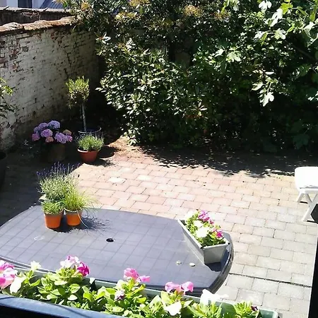 Charming House With 3 Bedrooms & Terrace 10 Minutes From Centre * Anversa